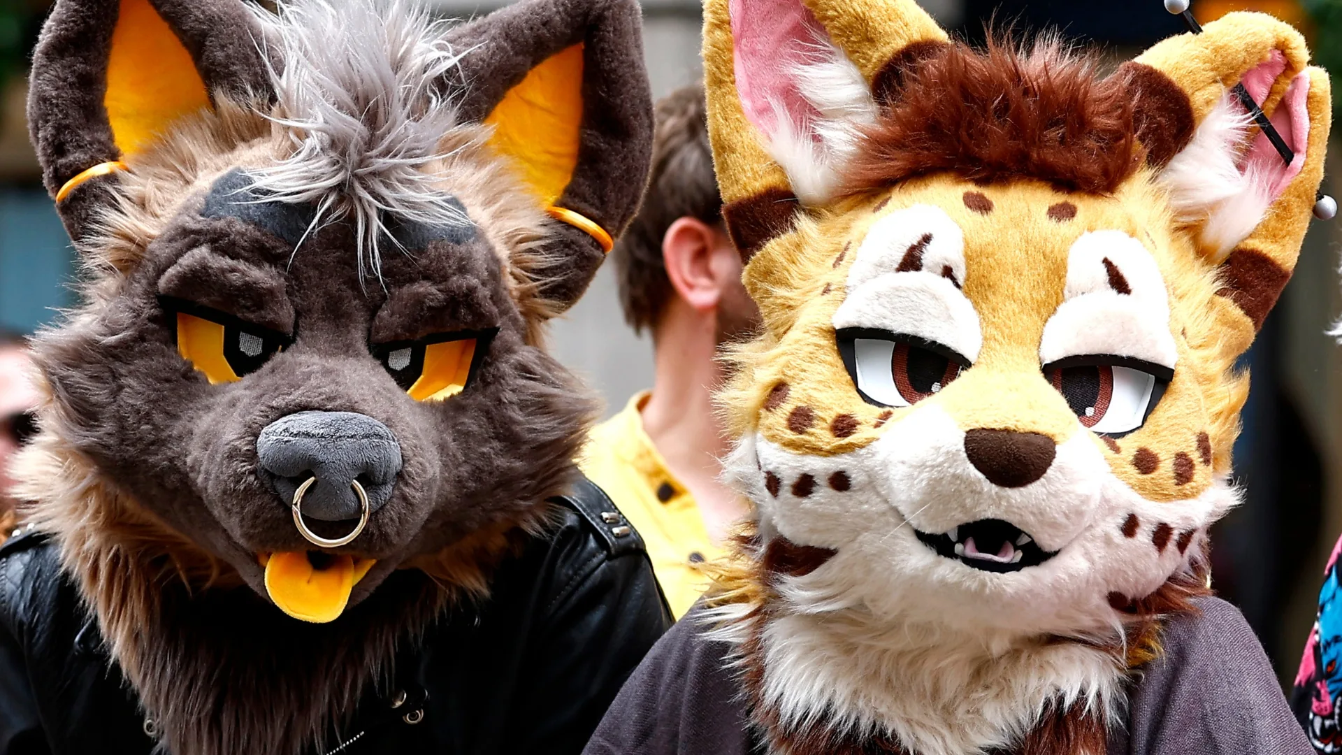 Gay Furry Hacker Group Announces It’s Disbanding Due To FBI Concerns